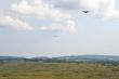 Pozemné sily súčasťou cvičenia Slovak Warthog 3